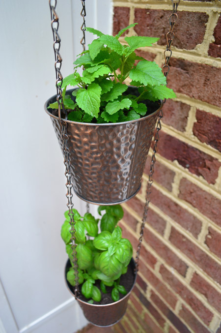 Detail Of Herb Pots Hanging From Chain