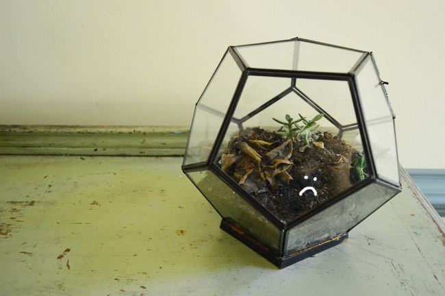 HowYouLikeMe Terrarium Sad Face